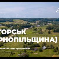 Як виглядає старовинне село на Тернопіллі з висоти пташиного польоту (відео)