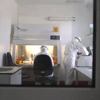 У мережі з'явилося відео про роботу унікальної лабораторії в Тернополі, де виявляють COVID-19