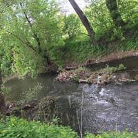 На Тернопільщині річку, яка впадає у Дністер, нещадно забруднюють шкірами мертвих тварин і побутовими відходами (фото)