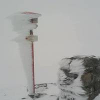 У перший день літа у Карпатах падає сніг