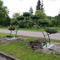 Краса по-тернопільськи: у парку «Топільче» встановили металеву арку