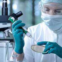 За добу на Тернопільщині проведено 470 ПЛР-тестів та вперше виявлено 14 хворих на коронавірус