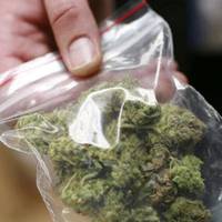 Речовий доказ з’їли миші: у Тернополі відпустили підозрюваного у зберіганні марихуани