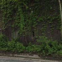 Заслуговує бути знятим у фільмі жахів: у Тернополі неподалік 