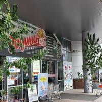 Мешканці Тернополя обурені варварським ставленням до дерев на свято Трійці (фото)