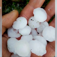 Град знищив городи й сади. На Тернопільщині жителі села виживатимуть без урожаю (Відео)