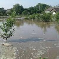 На Тернопільщині підтопило 5 будинків та замулило 5 гектарів городів