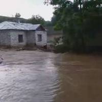 В селі на Тернопільщині річка вийшла з берегів і затопила подвір’я та городи (відео)
