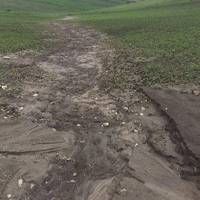 Негода завдала серйозних збитків жителям Тернопільщини