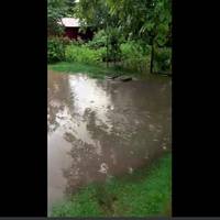 У Тернополі через зливу затоплені вулиці (Відео)