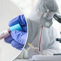 На Тернопільщині підтвердили 1688 випадків коронавірусу (станом на 21 червня 09:30)