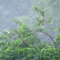 Завтра на Тернопільщині очікують сильну негоду