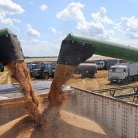 На Тернопільщині на складах Держрезерву переважують зерно