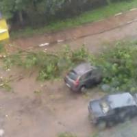 Дерево впало на автомобіль: у Теребовлі злива і вітер наробили біди