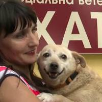 У Тернополі ще одна бездомна собака знайшла сім’ю (відео)