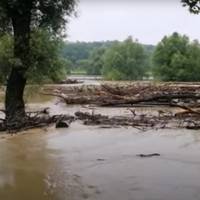 Вода сягнула крон дерев: шокуючі кадри потопу на Тернопільщині. ВІДЕО