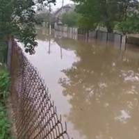 У Коропці на Тернопільщині вода вже затопила людські оселі (відео)