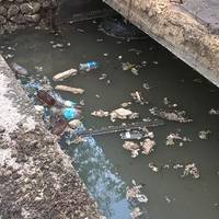 У Тернопільський став потрапляли нечистоти із території Білецької ОТГ (Відео)