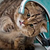 У центрі Тернополя не буде води