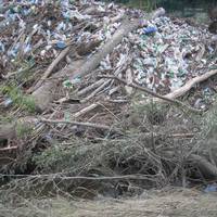 Організувати толоку та прибрати стоянку біля Дністра просить тернопільський мандрівник (фото)