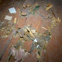 Поселили в стару школу: в яких умовах живуть люди, котрих затопило на Монастирищині (фото)