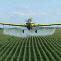 На території Тернопільської області три дні кропитимуть поля хімікатами