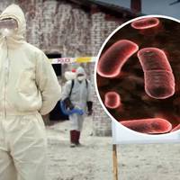 Бубонна чума 2020: чи варто переживати українцям через новий спалах