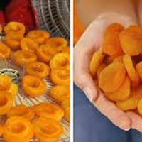 Як правильно зробити курагу з абрикоса в домашніх умовах. Це смачно та корисно