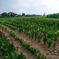 На Тернопільщині з’явилася ще одна локація для знімків