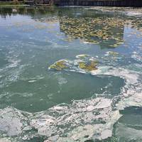 У Тернопільському ставі потонув чоловік