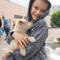 Цуценя із зони ООС юному тернополянину привезли поліцейські. Відео