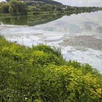На ставі у Бережанах заборонили купатися: фахівці з'ясовують що трапилось з водою (фото)