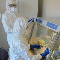 На Тернопільщині COVID-19 діагностували ще у 30 людей