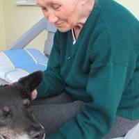 “Пес на тебе чекає”: зворушлива історія Мухтара, який тужив за своєю старенькою господинею (ФОТО)