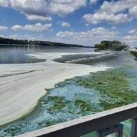 Тернопільський став вкрився голубими плямами (фото)