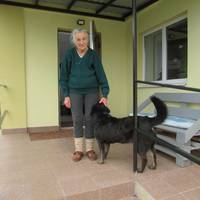 На Тернопільщині соціальні працівники плакали, коли побачили справжню вірність собаки