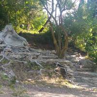 «Трон природи»: на Тернопільщині створили унікальну локацію