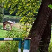 “Як дурне, то на все життя”: мальовнича місцина викликає огиду після візиту мешканців Тернопільщини (Фотофакт)