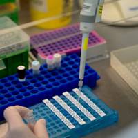 На Тернопільщині уже 4624 випадків COVID-19