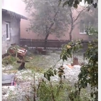 На дорозі “Тернопіль-Львів” шквальний вітер поламав дерева, узбіччя встелене градом (Відео)