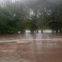 «Вся техніка у воді, корів ледве забрали»: на Тернопільщині через негоду затопило ціле село (Відео)