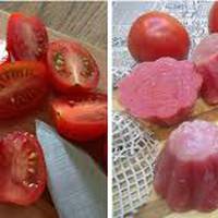 Корисна заготовка томатів на зиму, для приготування різноманітних страв