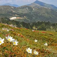 10 вражаючих місць в Карпатах, які ви маєте побачити на власні очі