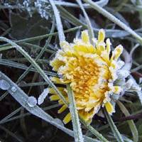 Йде суттєве похолодання: за тиждень слід чекати перших заморозків