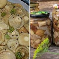 Зберігайте рецепт самих смачних грибів