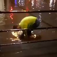 Потоп у Тернополі: як один чоловік своїм вчинком допоміг сотням (Відео)