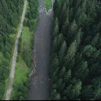 У Карпатах знайшли село-привид: від цього відео захоплює дух