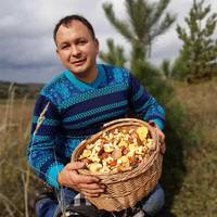 Грибний сезон на Тернопіллі – у розпалі: ланівчанин поділився фотографіями щедрого 