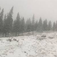 Справжня Покрова: в Україні випав перший сніг (ФОТО, ВІДЕО)