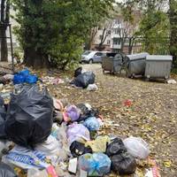 У центрі Тернополя з'явилося стихійне звалище